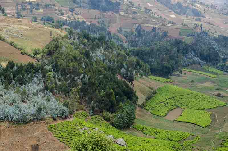 11 - Ruanda - paisaje